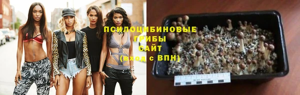 синтетический гашиш Заводоуковск