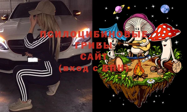 МДПВ Заволжск