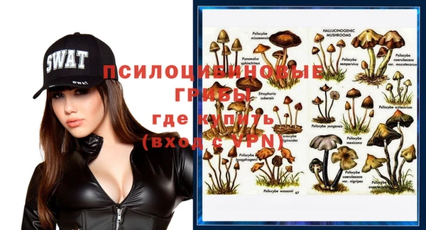 синтетический гашиш Заводоуковск