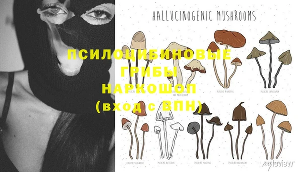а пвп мука Заволжье