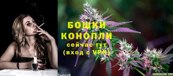 синтетический гашиш Заводоуковск