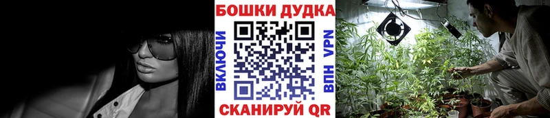 где найти   Игарка  Канабис THC 21% 
